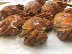 大閘蟹-旺富东海大酒楼(海鲜街店)