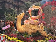 -越秀西湖花市(广州城市广场花卉店)