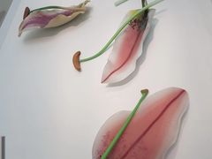 -康宁玻璃博物馆