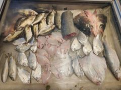 -百年银屏蚝烙·潮汕菜·非遗(乐山店)