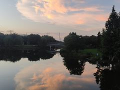 -九里河湿地公园