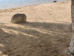 -济南国际园博园