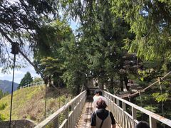 -神户市立六甲山牧场