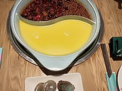 -青瓷火锅料理(西单大悦城店)