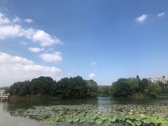 -新江湾城公园