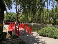 -玲珑塔公园