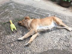 -浔岚云舍mist静谧观景美宿(丽江古城店)