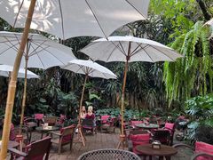 -Fern Forest Cafe