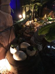 -恐龙探索乐园(磁器口店)