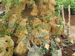 -南通洲际绿博园