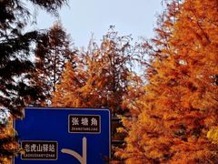 -南京市无想山景区