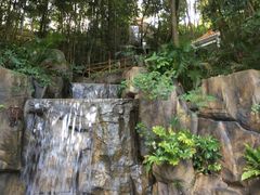 -广州市流溪河国家森林公园