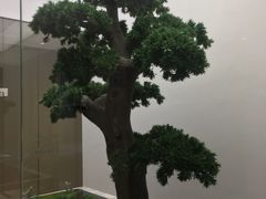 -柏乐口腔医院·舒适化无痛种植牙中心(东盟商务区院)