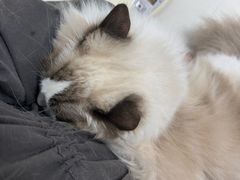 -美美宠物诊疗中心·异宠·骨科(滨江东信分院)