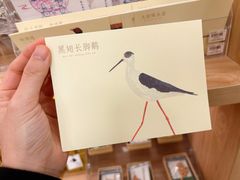 -中国湿地博物馆