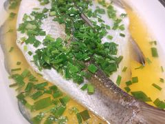 清蒸白鱼-京城小江南·北京烤鸭·江南土菜·白鱼(中关村店)