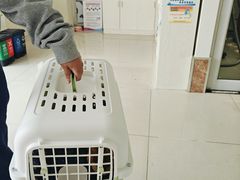 -美联众合24小时·皮肤科·外科·全科诊疗中心(华苑分院)