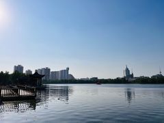 -莲花池公园