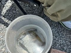 -DGE季风钓虾营地·团建·聚会