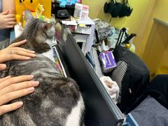 -谜盒子奇幻密室(南屏店)
