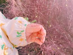 -嘉北郊野公园