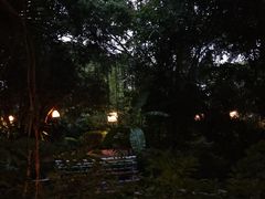 -卷心菜和避孕套餐厅(Pattaya)
