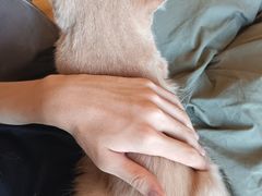-滚猫咖啡·猫咖·猫友好撸猫(未来城店)
