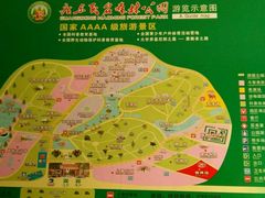 -广东茂名森林公园