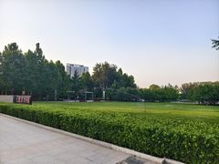 -大望京公园