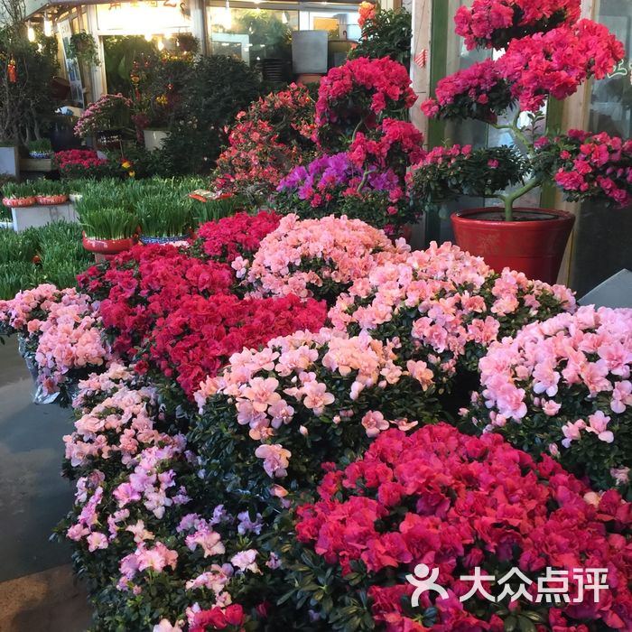 虹桥花卉市场图片