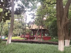 -圩墩遗址公园