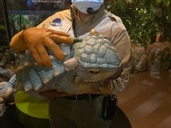 -侏罗纪世界电影特展(广州站)