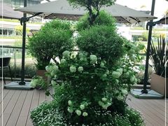 -La Terre乐田(万象城店)