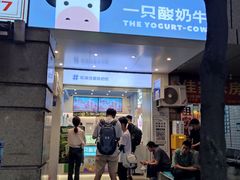 -一只酸奶牛(春熙路店)