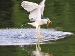 -重庆彩云湖湿地公园