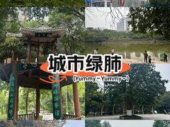 -龙头寺公园