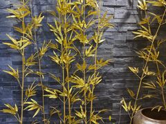 -陶语手工·拼豆·陶艺·银饰diy(宽厚里店)