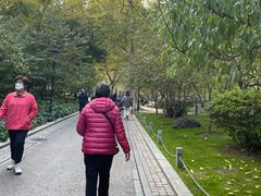 -中山公园