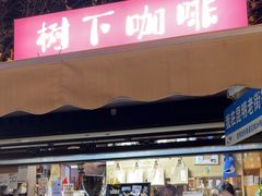 -树下咖啡(昆明老街店)