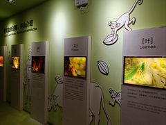 -歌斐颂巧克力小镇