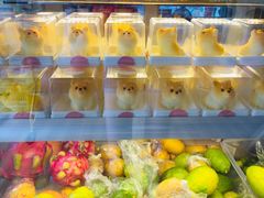 -柴犬高等学院·狗咖·柴犬售卖·宠物训练