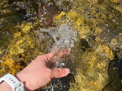 -本溪汤沟绿石谷森林公园