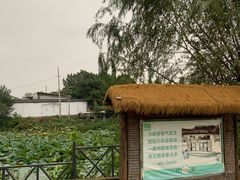 -元鼎宝驴香·全驴宴(江宁店)