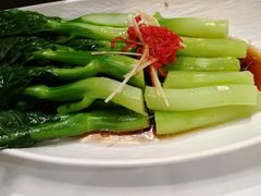 -圆苑(金茂店)