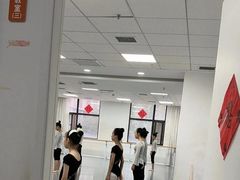 -西安小天鹅艺术团(金花路校区)