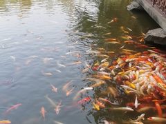 -房湖公园