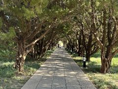 -洛阳古墓博物馆