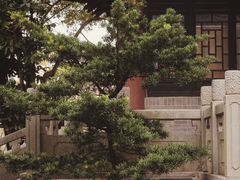 -顺峰山公园