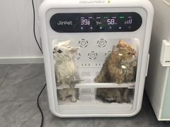 -爱洗澡的猫(望京店)