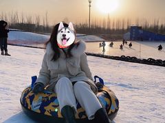 -绿野森林乐园冰雪季